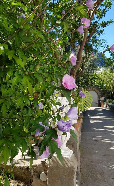Casa Gaia Hotel Capri Eksteriør billede